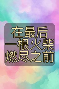 在最后一根火柴燃尽之前封面