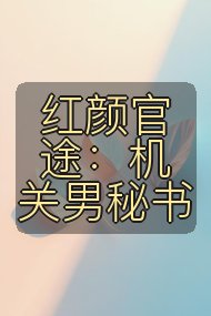 红颜官途:机关男秘书封面